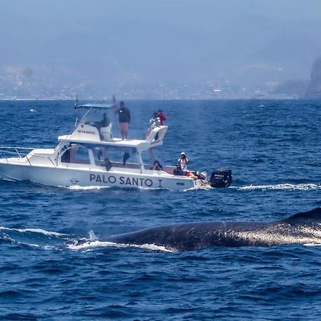 Whale House Hotel Пуэрто-Лопес Экстерьер фото